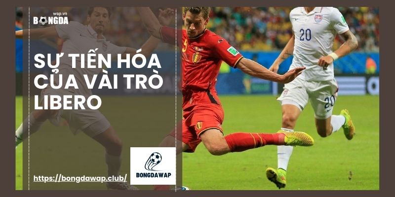 sự tiến hóa của vài trò libero