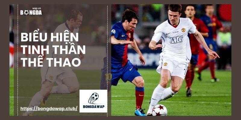 biểu hiện tinh thần thể thao